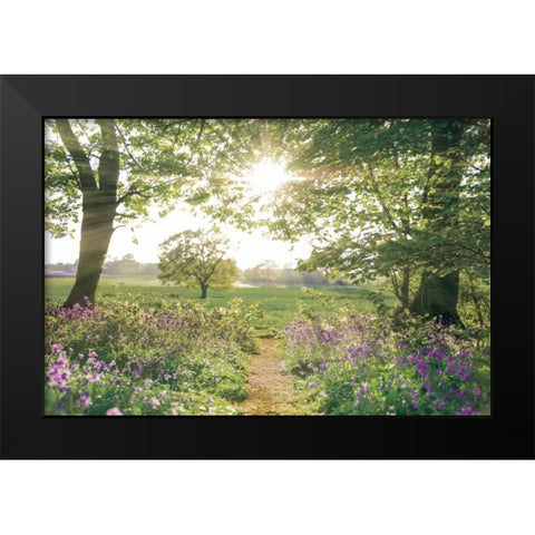Something Beautiful Black Modern Wood Framed Art Print by Frank, Assaf