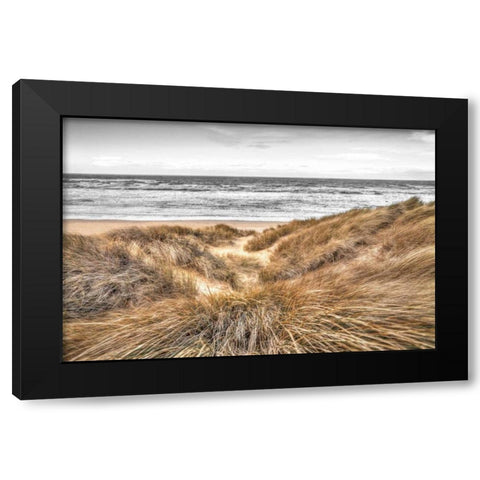 Beach Dunes Black Modern Wood Framed Art Print by Frank, Assaf