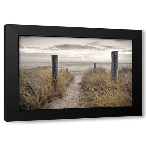 Beach Day Black Modern Wood Framed Art Print by Frank, Assaf