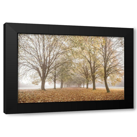 Autumns Peace Black Modern Wood Framed Art Print by Frank, Assaf