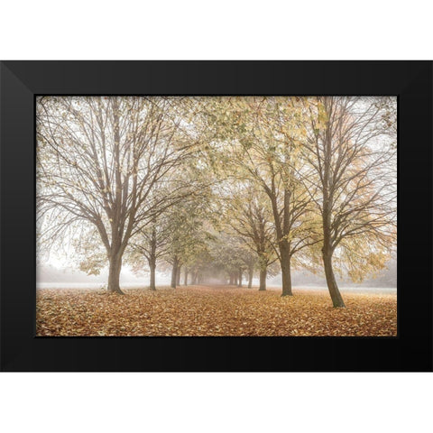 Autumns Peace Black Modern Wood Framed Art Print by Frank, Assaf