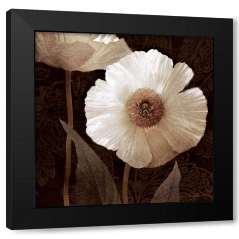 Paisley Poppy II Black Modern Wood Framed Art Print with Double Matting by Mallett, Keith