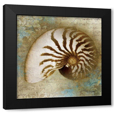 Nautical Beauty Black Modern Wood Framed Art Print with Double Matting by Mallett, Keith