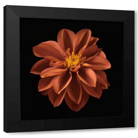 Four Keeps I Black Modern Wood Framed Art Print by Frank, Assaf
