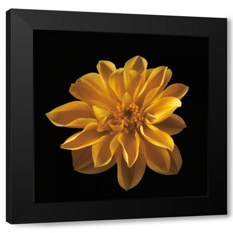 Four Keeps III Black Modern Wood Framed Art Print with Double Matting by Frank, Assaf