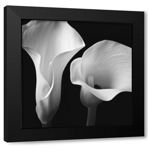 Softness II Black Modern Wood Framed Art Print by Frank, Assaf