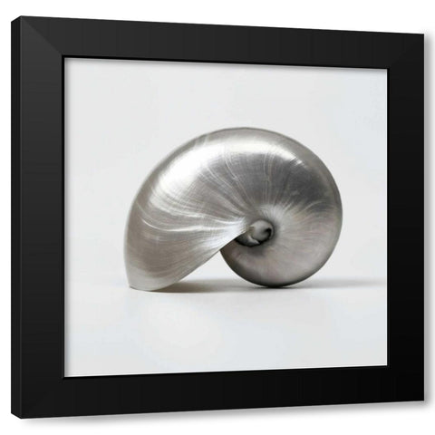 Beachside Treasure I Black Modern Wood Framed Art Print with Double Matting by Frank, Assaf