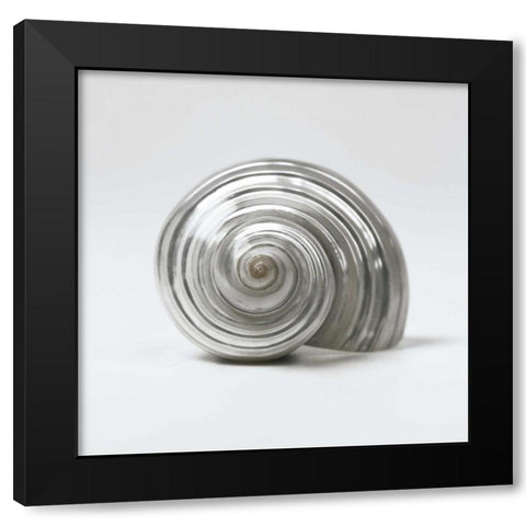 Beachside Treasure II Black Modern Wood Framed Art Print by Frank, Assaf