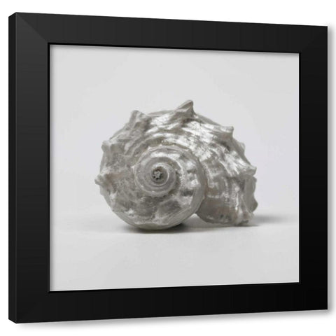 Beachside Treasure III Black Modern Wood Framed Art Print by Frank, Assaf