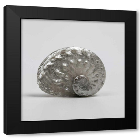 Beachside Treasure IV Black Modern Wood Framed Art Print by Frank, Assaf
