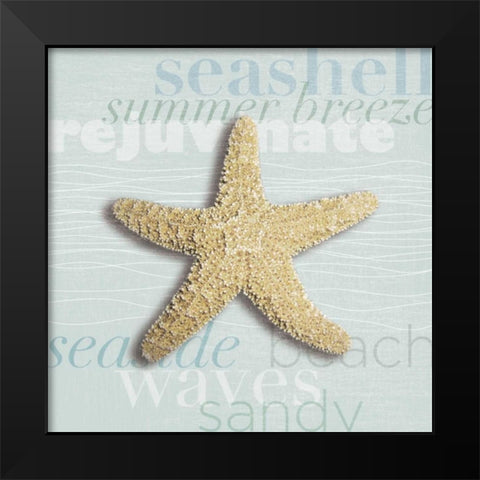 Beach Collection II Black Modern Wood Framed Art Print by Venter, Tandi