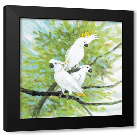 Cockatoos Black Modern Wood Framed Art Print with Double Matting by Fisk, Arnie