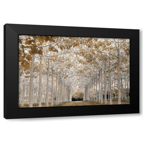 White Gold Black Modern Wood Framed Art Print by Frank, Assaf