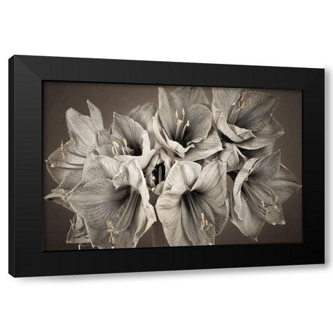 Grand Floral Black Modern Wood Framed Art Print by Frank, Assaf