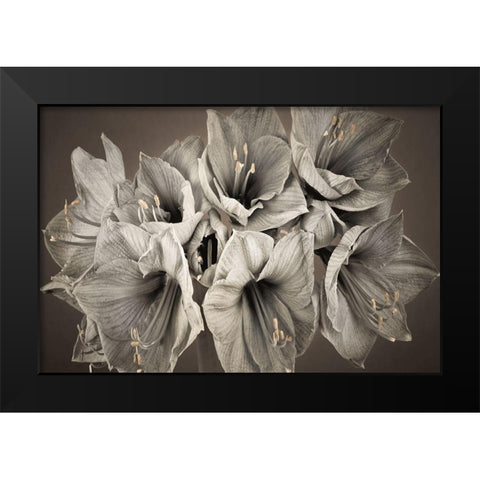Grand Floral Black Modern Wood Framed Art Print by Frank, Assaf