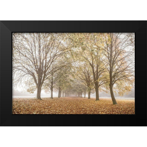 Autumns Peace Black Modern Wood Framed Art Print by Frank, Assaf