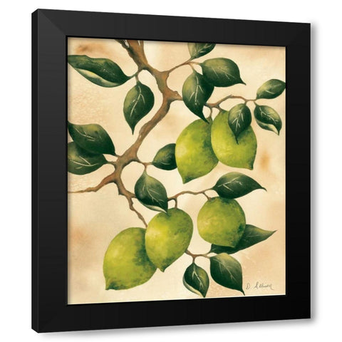 Italian Harvest - Limes Black Modern Wood Framed Art Print by Allison, Doris