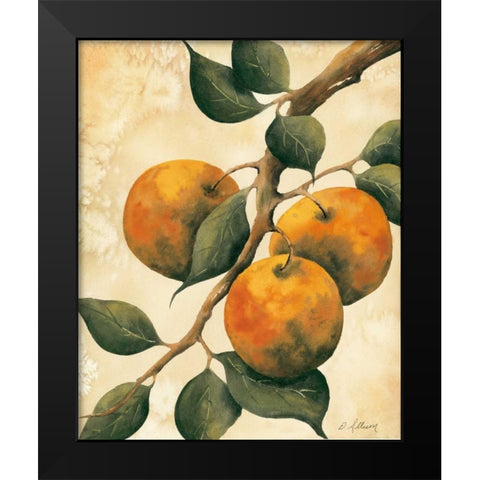 Italian Harvest - Oranges Black Modern Wood Framed Art Print by Allison, Doris