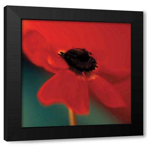 Red on Turquoise Black Modern Wood Framed Art Print with Double Matting by Butler, Jane-Ann