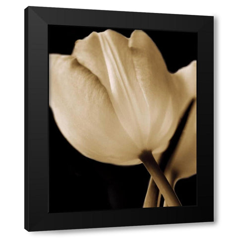 Radiance I Black Modern Wood Framed Art Print by Ryan, Cinzia