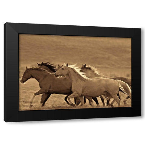 Like the Wind II Black Modern Wood Framed Art Print with Double Matting by Caro, Wendy