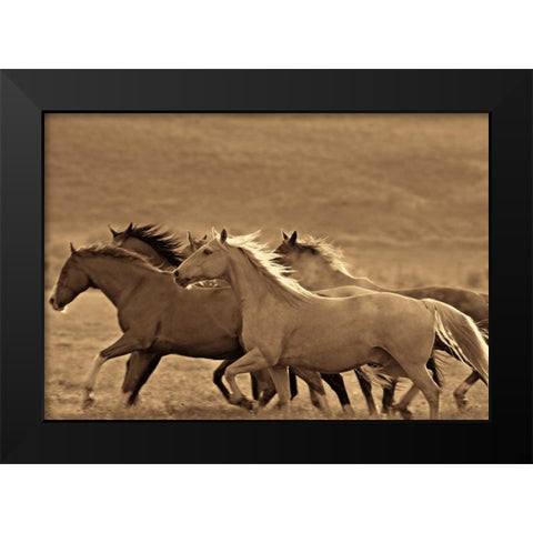 Like the Wind II Black Modern Wood Framed Art Print by Caro, Wendy