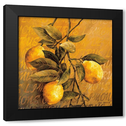 Lemon Branch Black Modern Wood Framed Art Print by Thompson, Linda