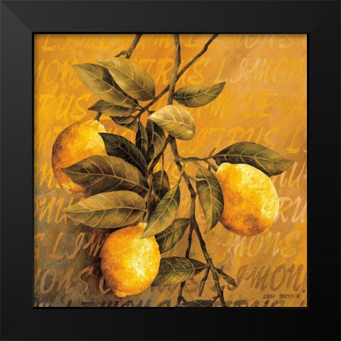 Lemon Branch Black Modern Wood Framed Art Print by Thompson, Linda