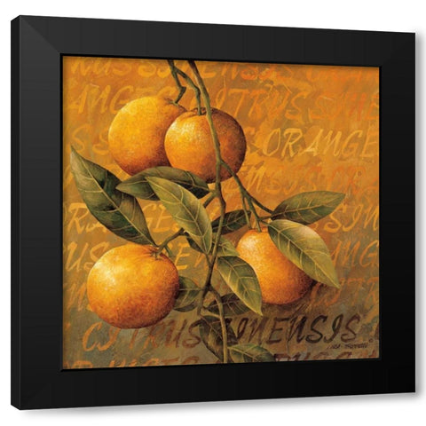 Orange Branch Black Modern Wood Framed Art Print with Double Matting by Thompson, Linda