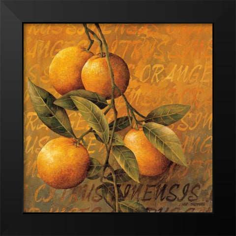 Orange Branch Black Modern Wood Framed Art Print by Thompson, Linda