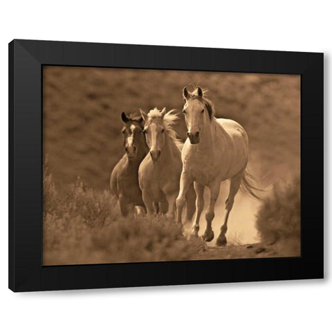 Rangers Black Modern Wood Framed Art Print by Caro, Wendy