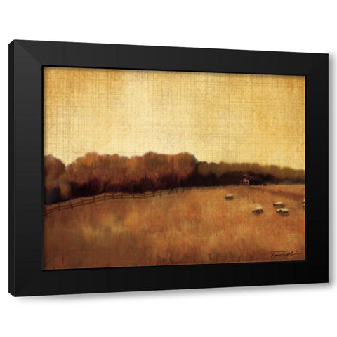 Open Range II Black Modern Wood Framed Art Print by Venter, Tandi