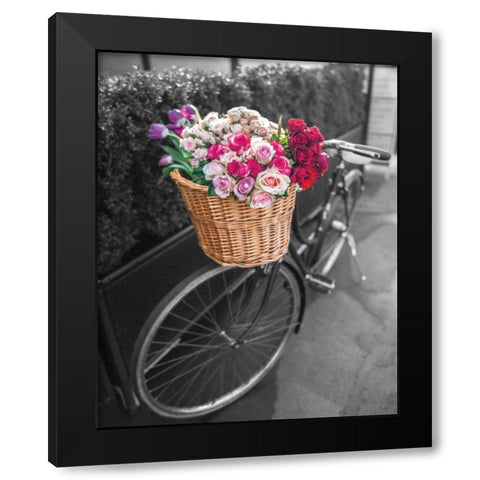 Basket of Flowers I Black Modern Wood Framed Art Print by Frank, Assaf
