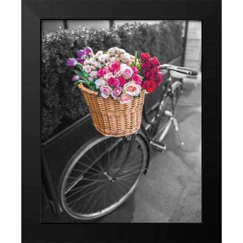 Basket of Flowers I Black Modern Wood Framed Art Print by Frank, Assaf