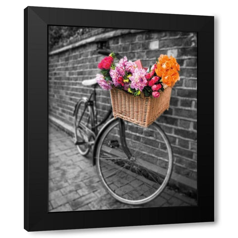 Basket of Flowers II Black Modern Wood Framed Art Print by Frank, Assaf