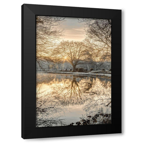 Frosty Morning II Black Modern Wood Framed Art Print by Frank, Assaf