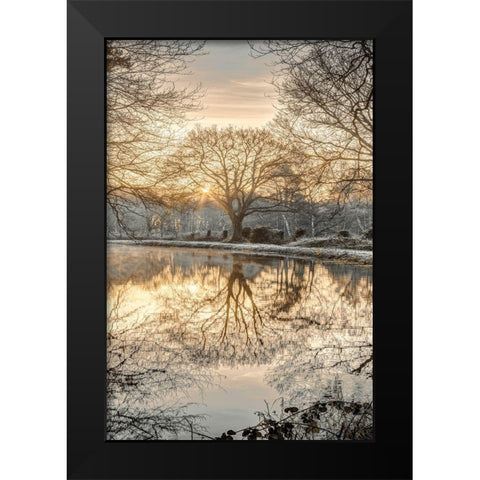 Frosty Morning II Black Modern Wood Framed Art Print by Frank, Assaf