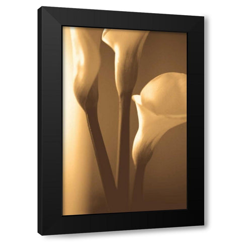 Enlightenment Black Modern Wood Framed Art Print with Double Matting by Ryan, Cinzia