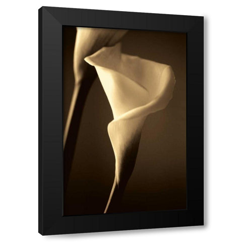 Divinity Black Modern Wood Framed Art Print with Double Matting by Ryan, Cinzia