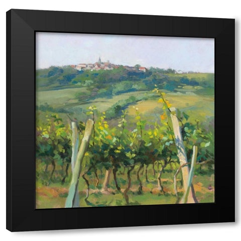 Flauvigny View Black Modern Wood Framed Art Print with Double Matting by Debrosky, Christine