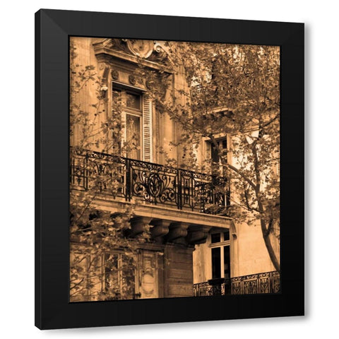 Printemps Arrive Black Modern Wood Framed Art Print by Gilboa, Marina Drasnin