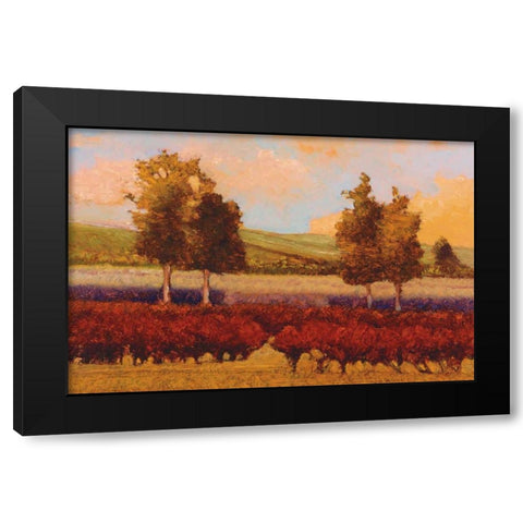 St. Pierre Black Modern Wood Framed Art Print with Double Matting by Lovelace, Kent