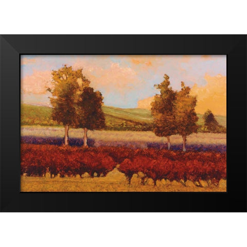 St. Pierre Black Modern Wood Framed Art Print by Lovelace, Kent