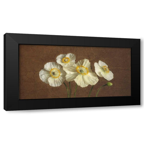 Precious Poppies Black Modern Wood Framed Art Print with Double Matting by Pahl, Janel