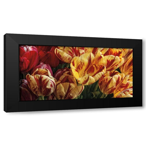 Floral Tapestry Black Modern Wood Framed Art Print with Double Matting by Pahl, Janel