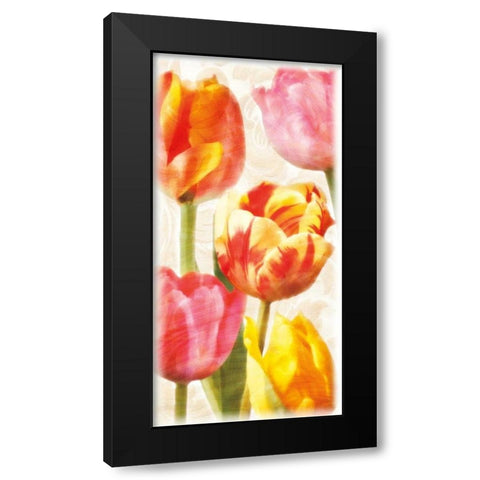 Glowing Tulips II Black Modern Wood Framed Art Print with Double Matting by Pahl, Janel