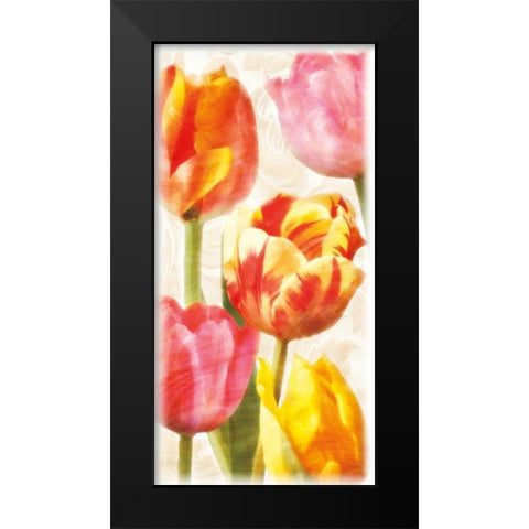 Glowing Tulips II Black Modern Wood Framed Art Print by Pahl, Janel