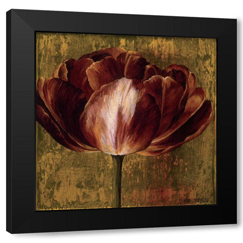 Full of Life I Black Modern Wood Framed Art Print by Thompson, Linda