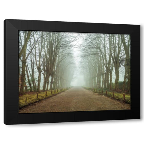 Dreamscape Wonder Black Modern Wood Framed Art Print by Frank, Assaf