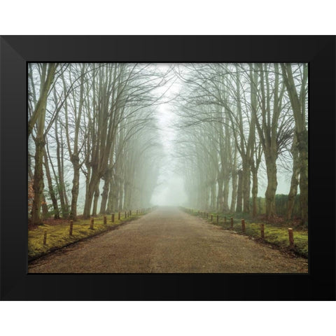 Dreamscape Wonder Black Modern Wood Framed Art Print by Frank, Assaf